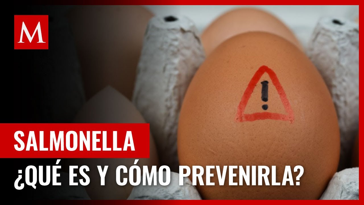 Salmonella: ¿Qué es y por qué es importante prevenirla?