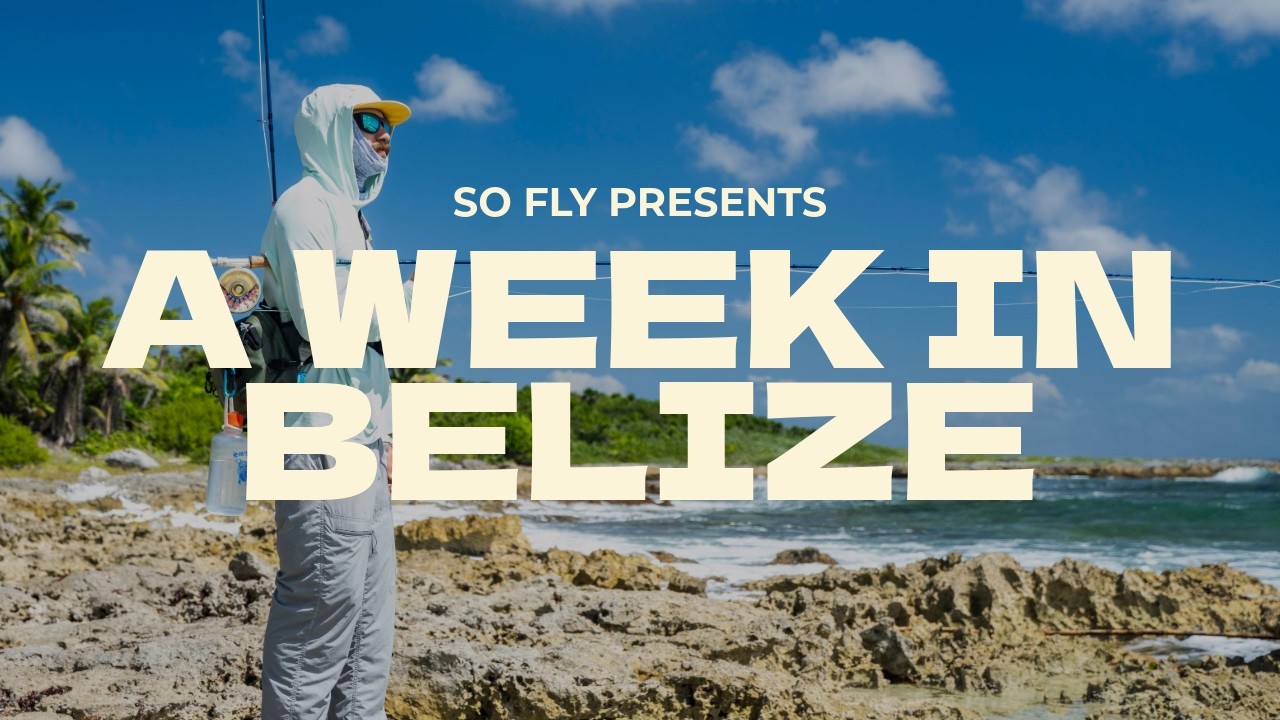 BELIZE: Diy and Guided fly fishing for Bonefish and Jack Crevalle