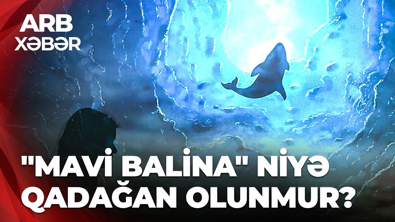 ARB XƏBƏR - &ldquo;Mavi balina&rdquo; təhl&uuml;kəsi - 13 yaşlı yeniyetmə oyunun təsiri altında həyatını itirdi
