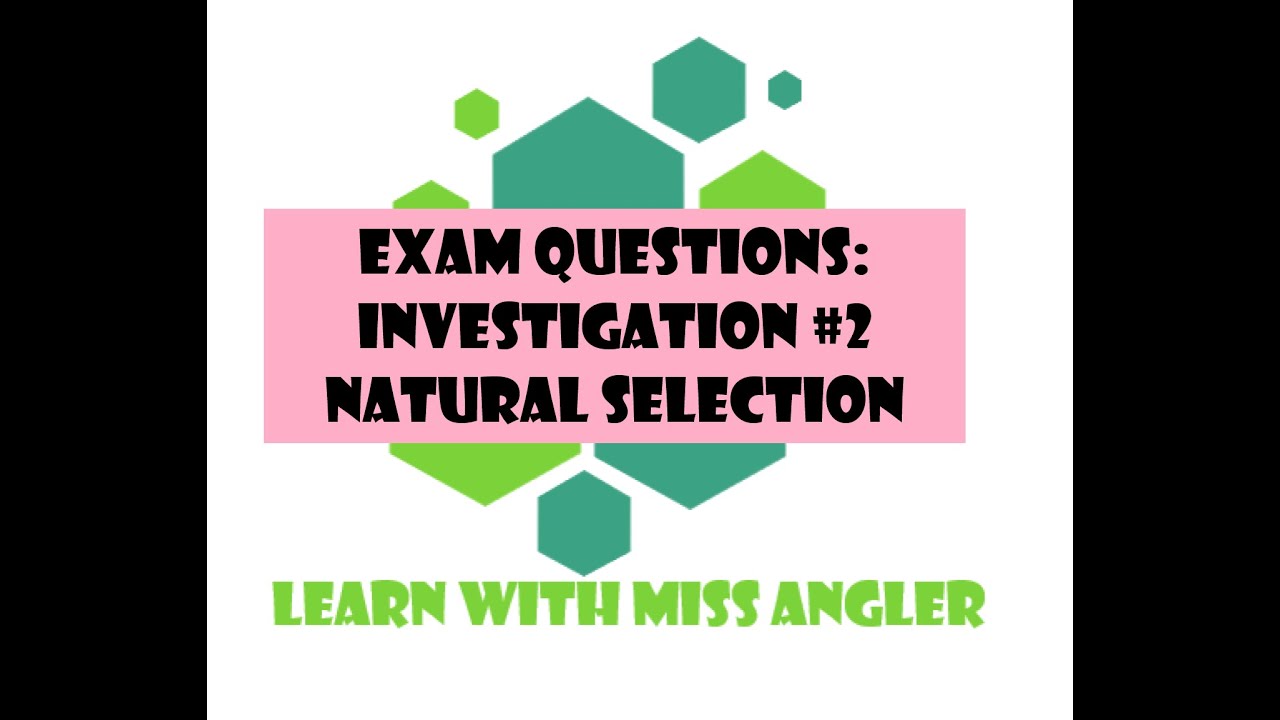 GR 12 EXAM QUESTIONS: Investigation questions #2 (Natural Selection)