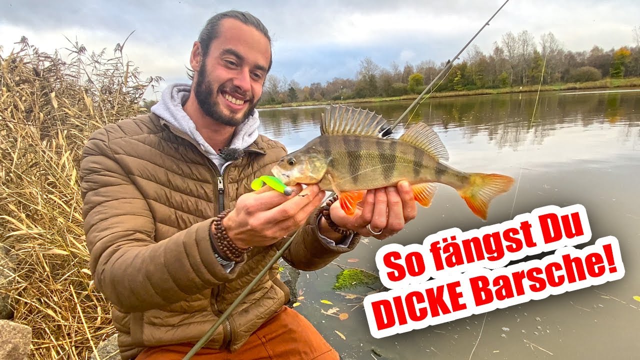 Barschangeln im Herbst | Mit diesen 4 Tipps f&auml;ngst Du die Gro&szlig;en!