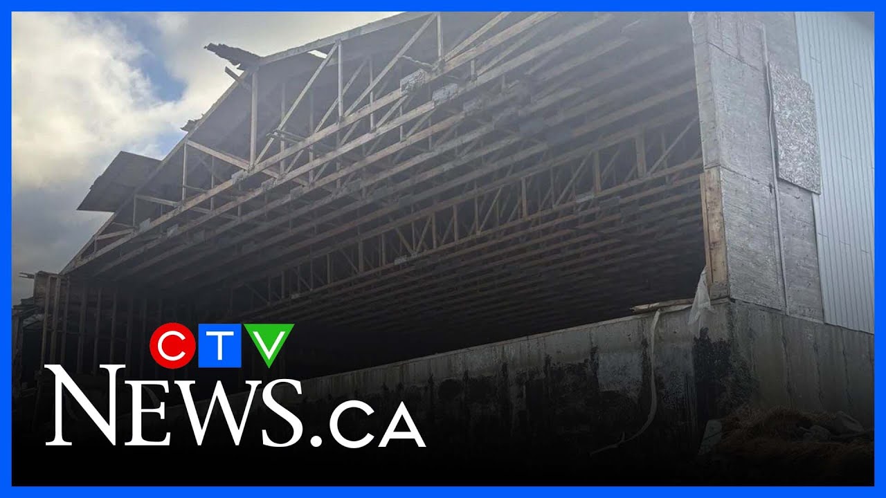 Smell of rotting fish from shuttered fish sauce plant in N.L. sparks emergency