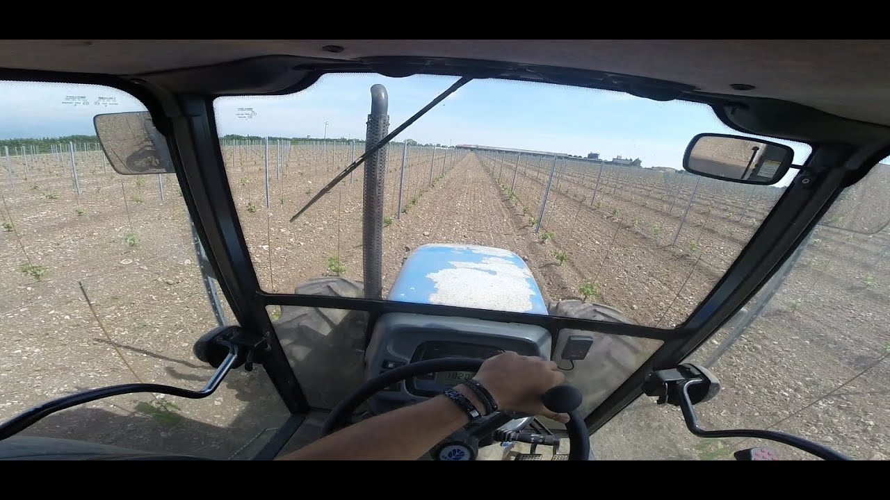 |CabView| NewHolland TN70D - Semina prato di copertura in vigneto.