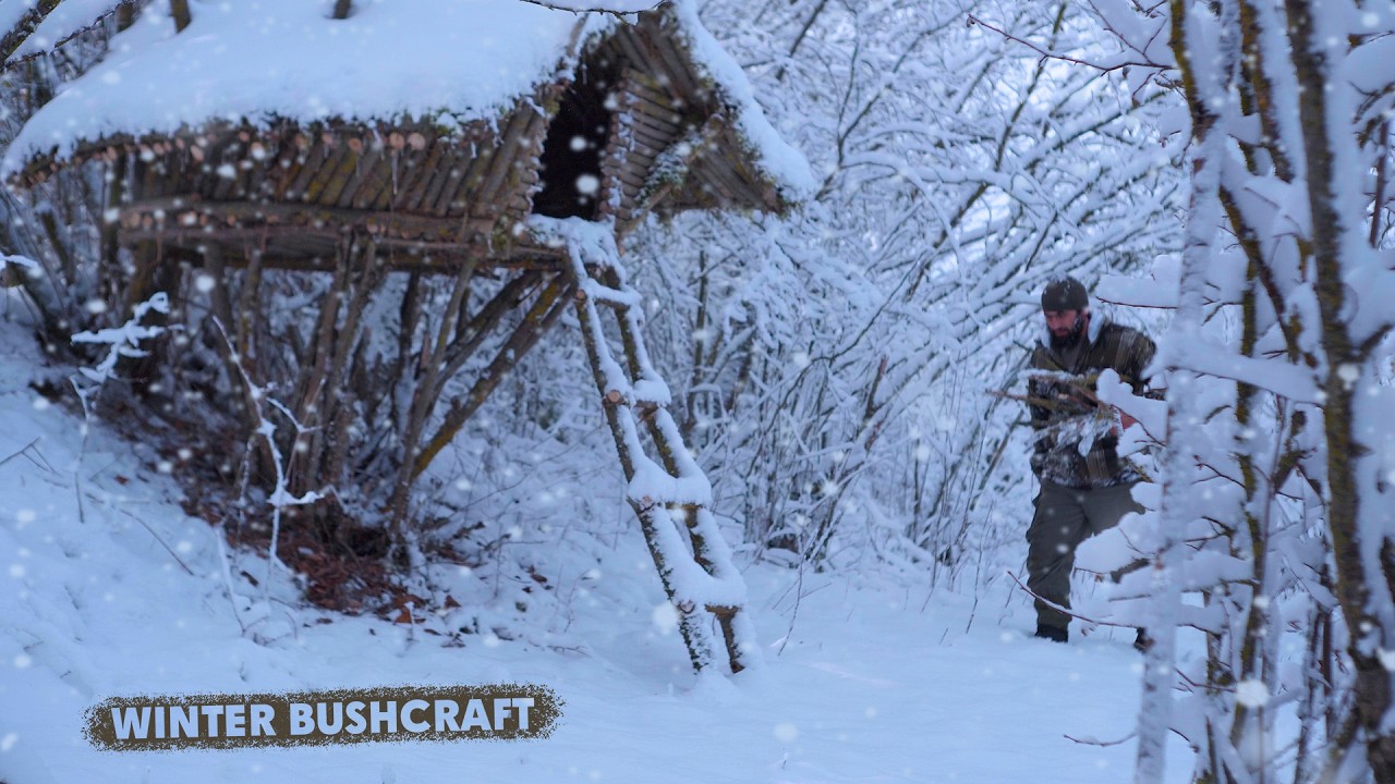 ВЫЖИВАНИЕ ЗИМОЙ в дикой природе, строительство Бушкрафт убежища!