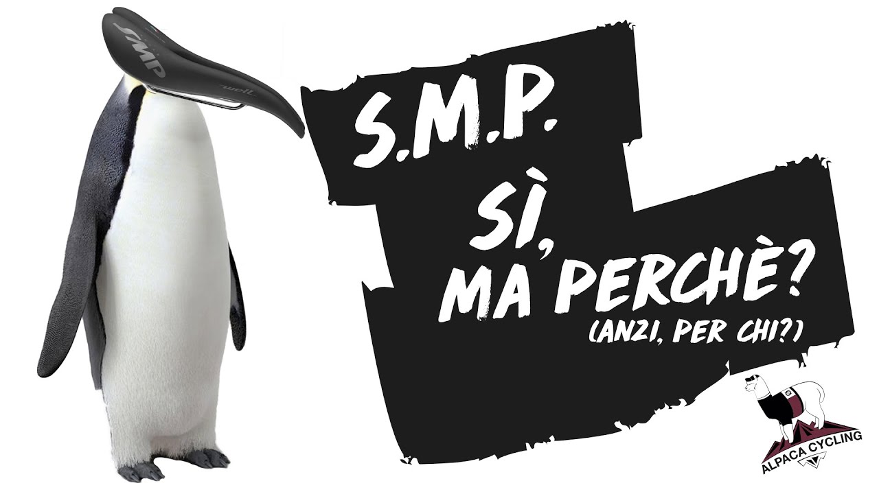 Selle SMP Well: comodissima ma...