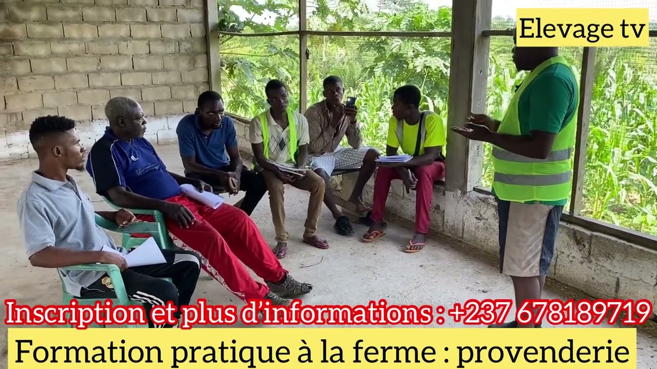 Formation pratique à la ferme (Provenderie ,comment Formuler son propre aliment )