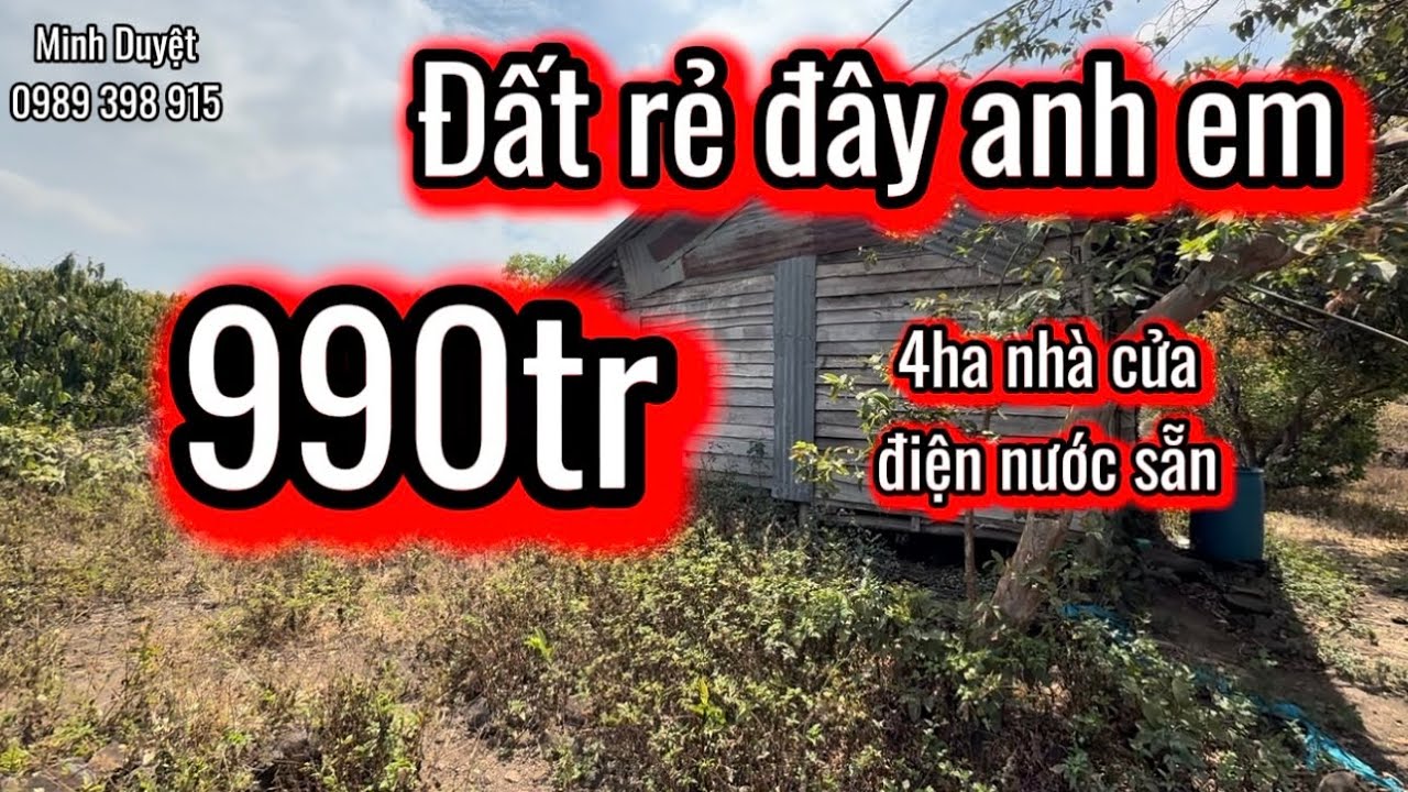 Lô 205| Đất rẻ DaK Nông, 4 ha chỉ 990tr dân quanh 700 caffe nhà cửa điện nước sẵn 