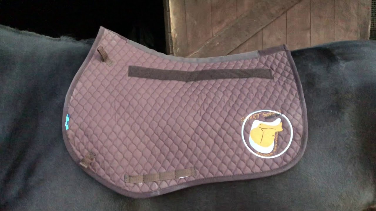 Solution Saddles SMART BlogStar - Bethan's big PRO Jump saddle review!