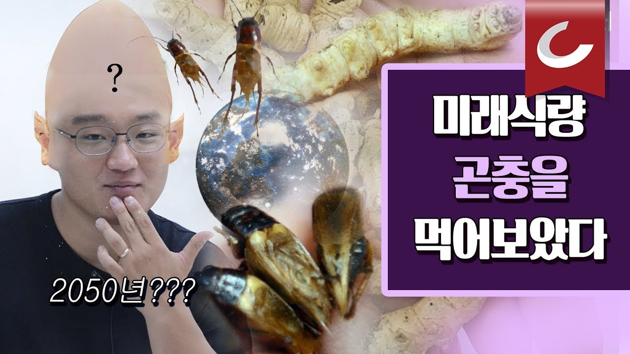 [두잇터] 미래식량 곤충을 먹어보았다 / 조선일보