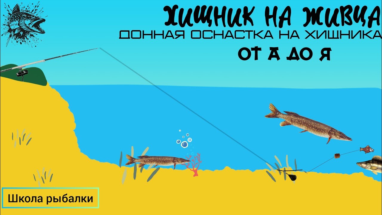 ЩУКА И СУДАК ! Уловистый монтаж от А до Я для ловли на ЖИВЦА с берега на течении. #щука #рыбалка