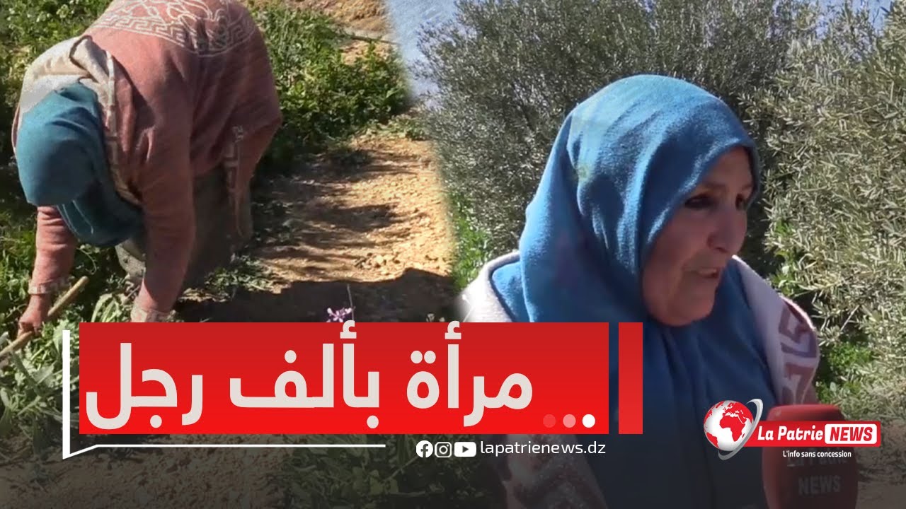 #شاهد 🎥.. سيدة سبعينية تتحدى الصعاب وتعمل في الفلاحة وسط أرض وعرة ببلدية سفيان ولاية باتنة 💪🌿