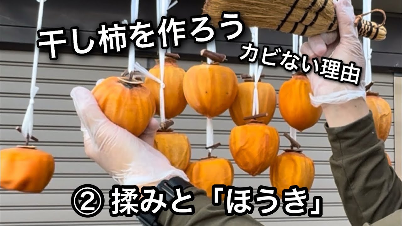 ②干し柿を作ろう！揉みとホウキ、カビない理由