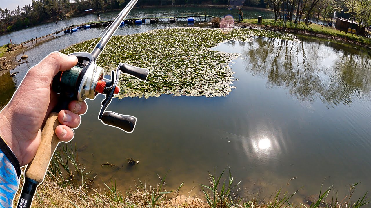 Bass Fishing In My First Bank Fishing Competition | Edenvale Quarry