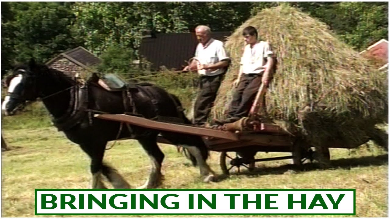 Bringing in the Hay @ Muckross Traditional Farms Ireland