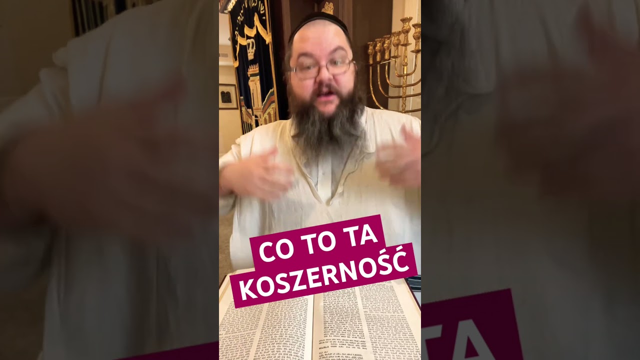 Co to ta koszerność? #żydzi #chasydzi #judaizm #terazjużwiesz #tradycjeżydowskie