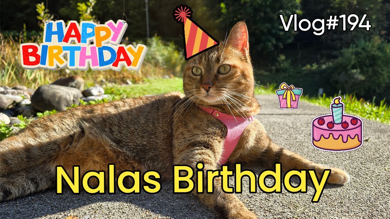 Vlog#194 Nalas 7th Birthday 🎁🎂❤️