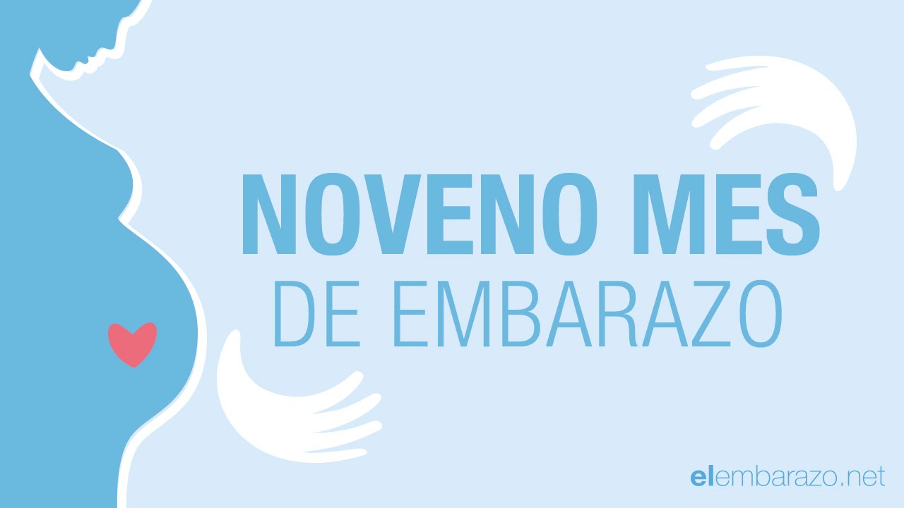 Noveno mes de embarazo | 9 meses de embarazo | El embarazo mes a mes