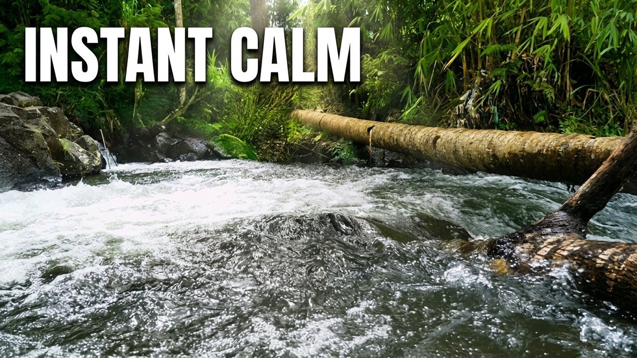 Insomnia Relief with Gentle River Sounds 🌙 Natural Sleep Sounds (No Talking)