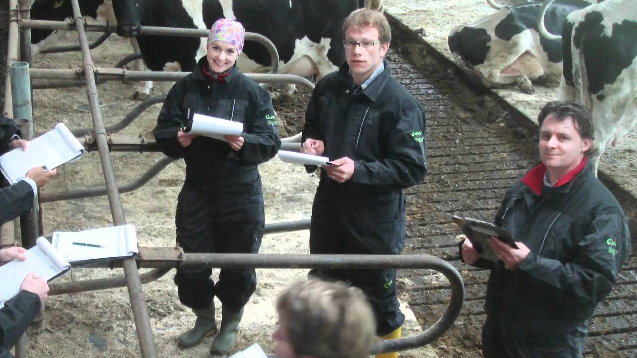 Koesignalen mvvo award film (Cowsignals -Vetvice)