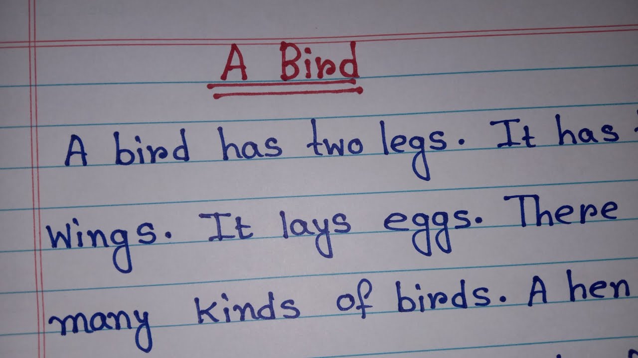 The Bird //English paragraph// Essay writing//easy short paragraph.