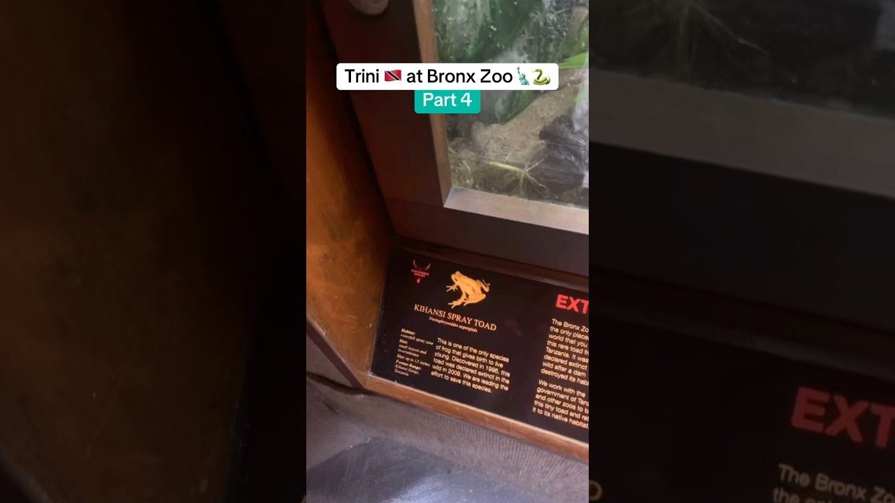 Bronx Zoo mini vlog part 4 😭🗽😂