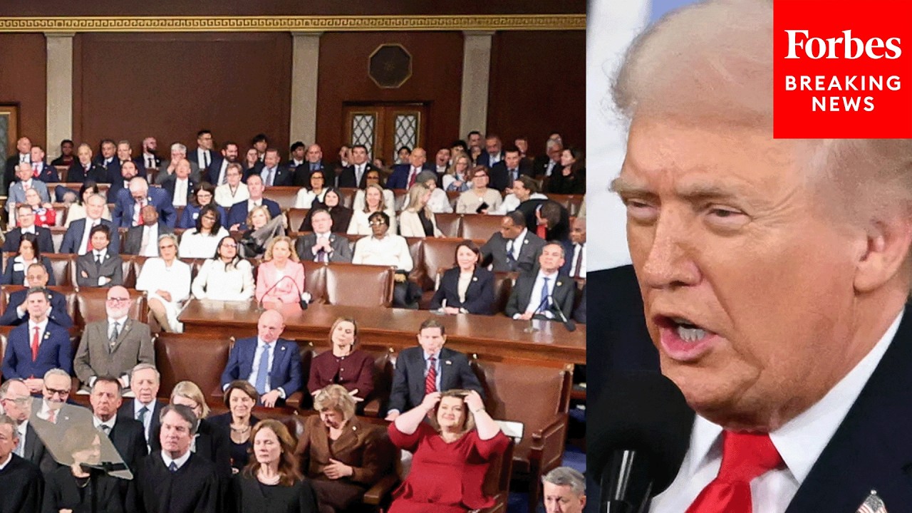 'They Want To Cheat!': Trump Tears Into Democrats Over Voter ID Opposition During State Of The Union