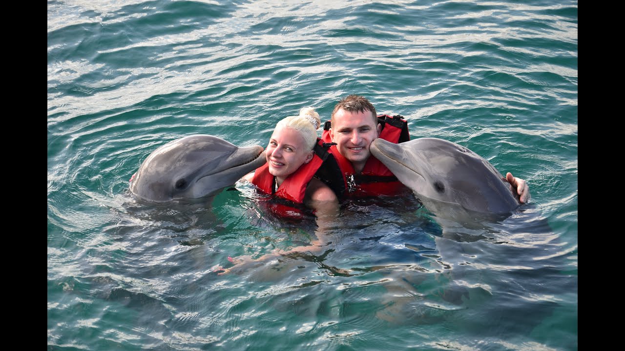 Swimming with Dolphins Cuba - Dolphins Tricks