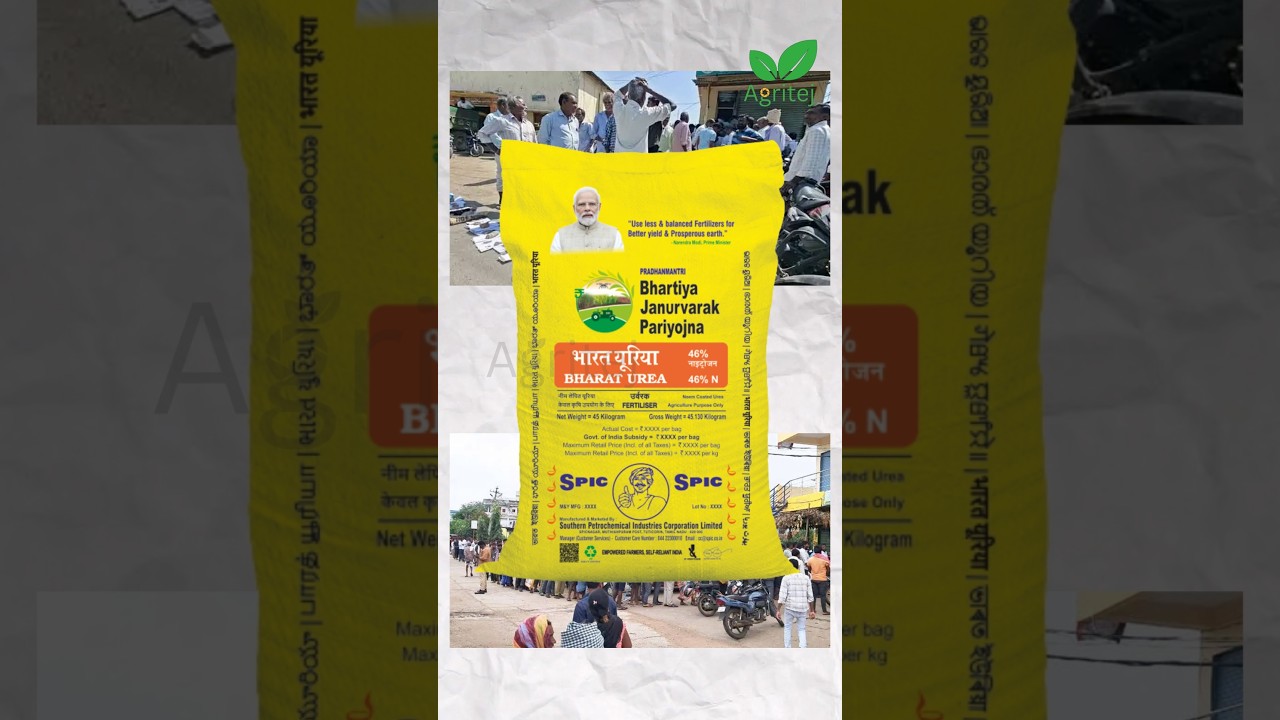 Urea Fertiliser Crisis 2025 | Farmers&rsquo; Struggle & Real Reasons in India