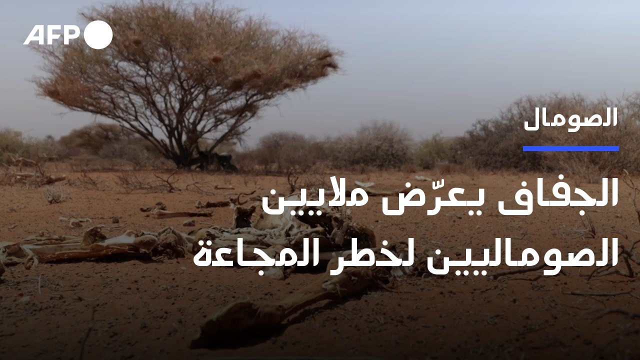 الجفاف يعرّض ملايين الصوماليين لخطر المجاعة (اللجنة الدولية للصليب الأحمر) | AFP