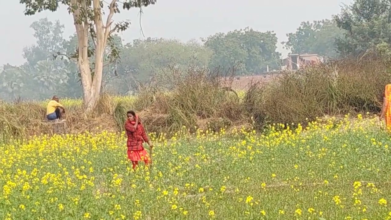 मेरे ब्लॉग में आप लोगों का स्वागत है 🙏🙏