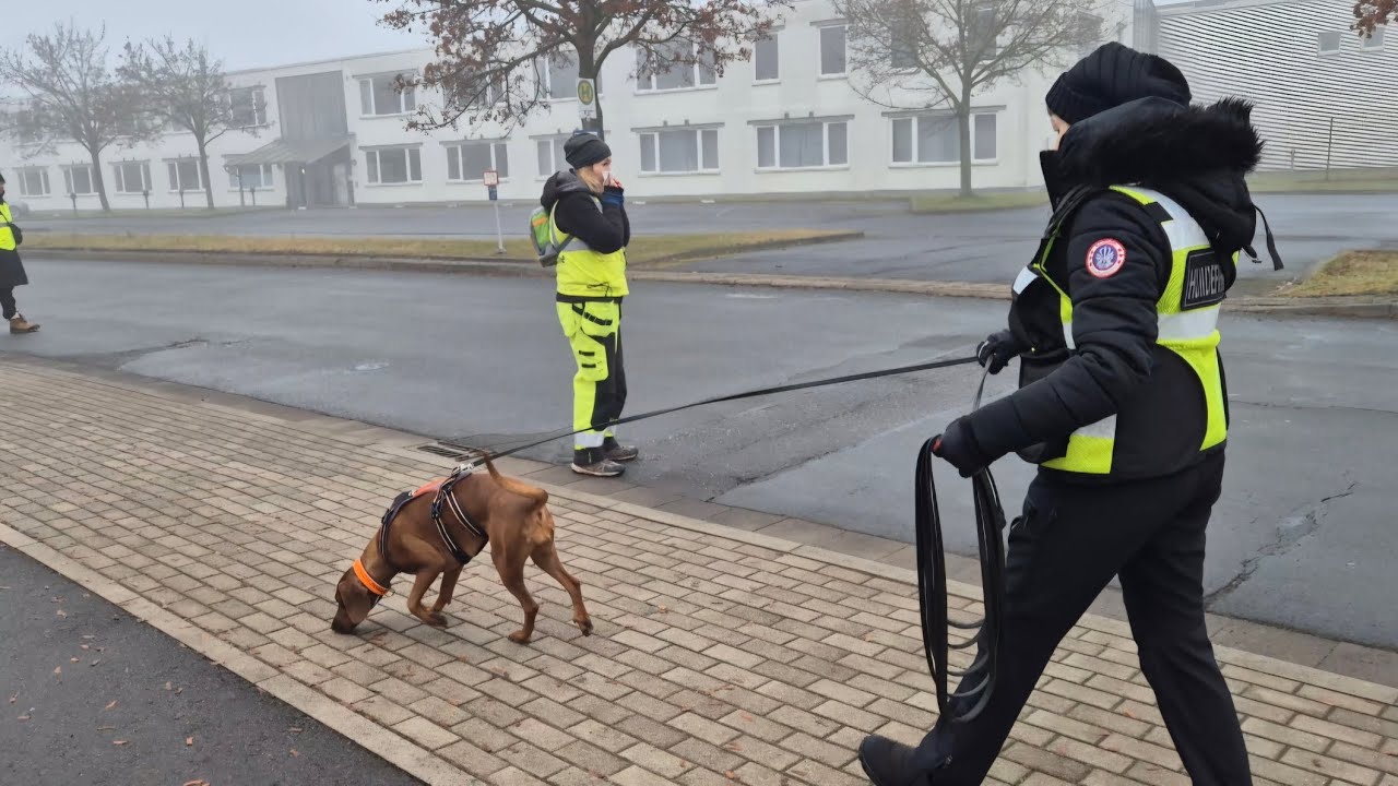 Wenn der Geruchsträger nicht eindeutig ist 