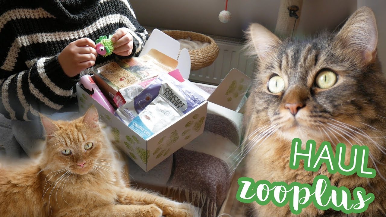 Cica Haul 2018 Október - Őszi meglepetés doboz (Superbox) - Zooplus!
