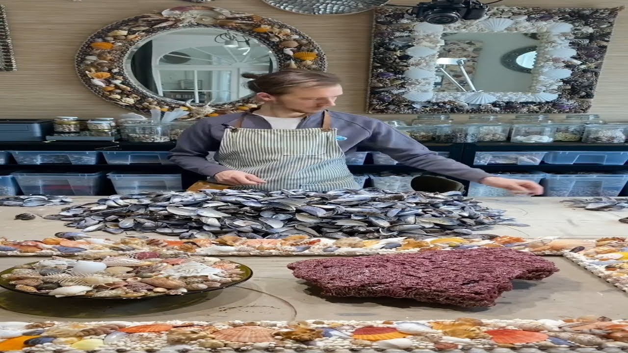 ASMR sorting and cleaning 1000 shells #shellart #shell #art #shellcraft #seashell #asmr #sorting