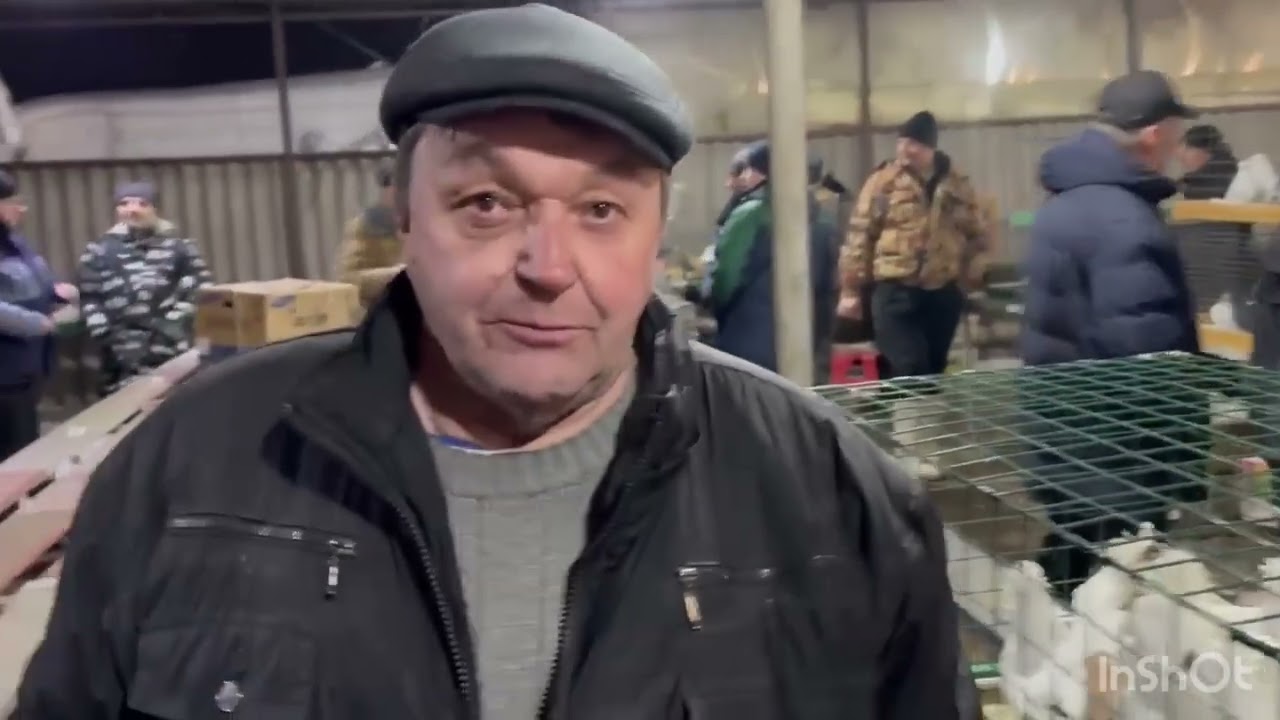 Ярмарка голубей Бронницы Москва сборная7.03.2026