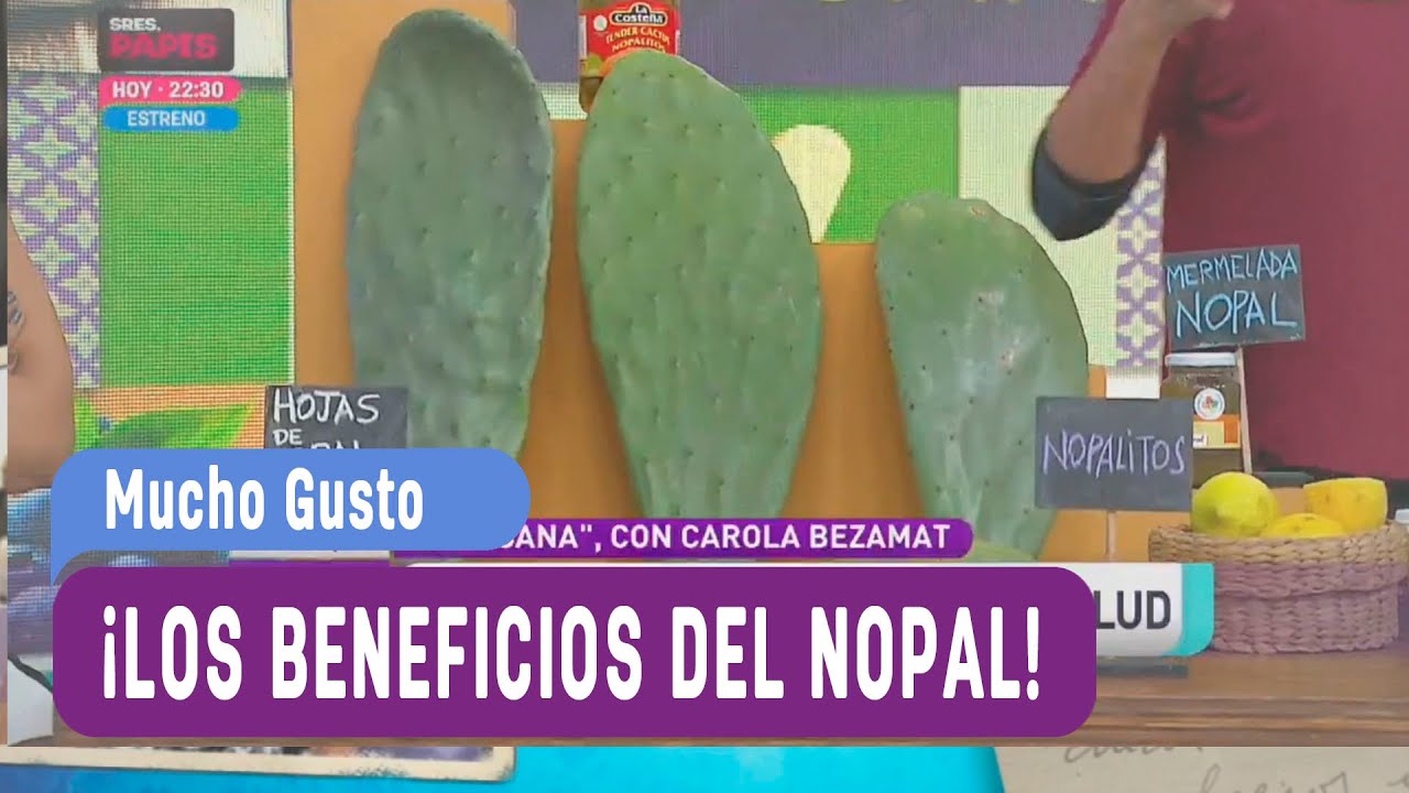 Los beneficios del Nopal - Mucho Gusto 2016
