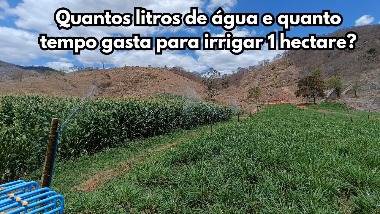 Irrigando 1 hectare. Quantos litros de água e quanto tempo de irrigação?