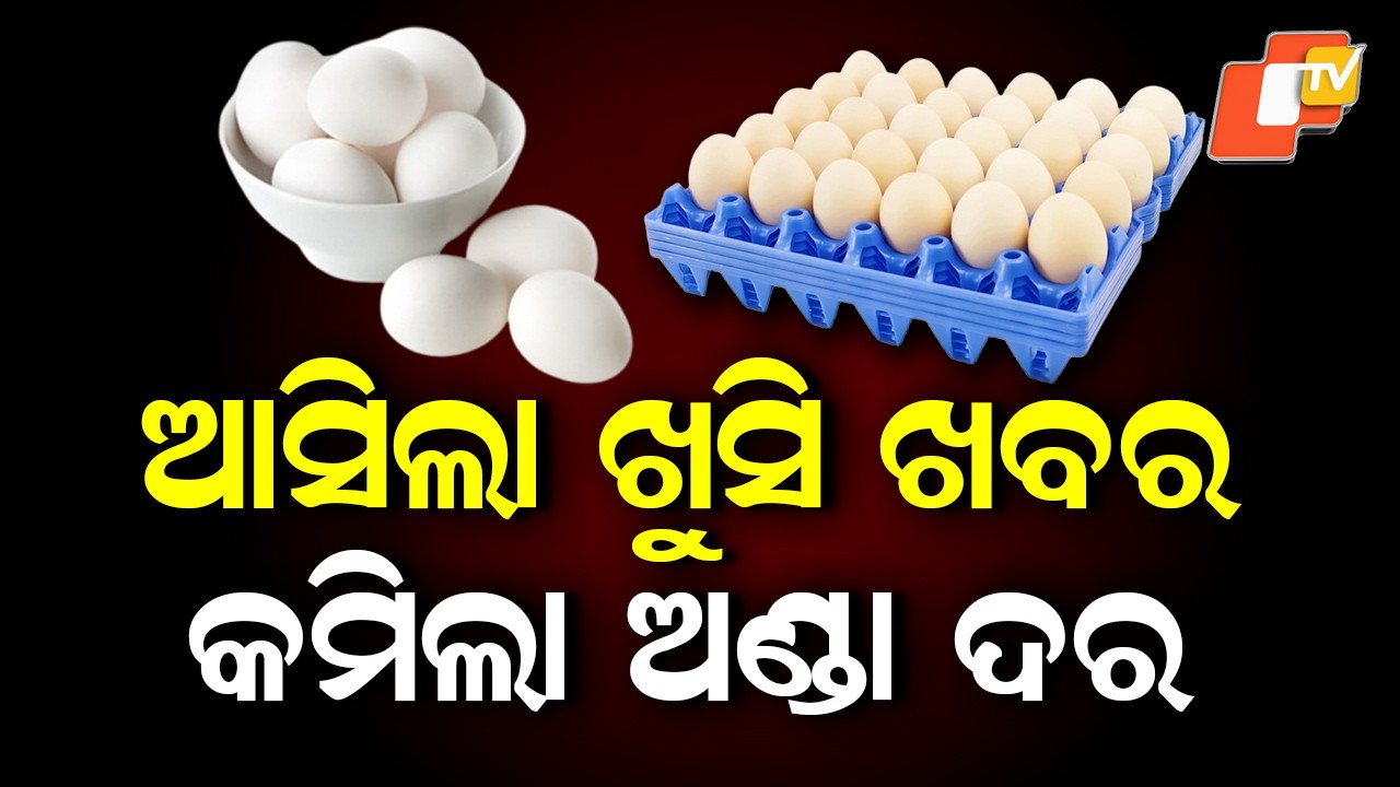 Egg Prices Drop in Balasore as Middle East Conflict Disrupts Exports