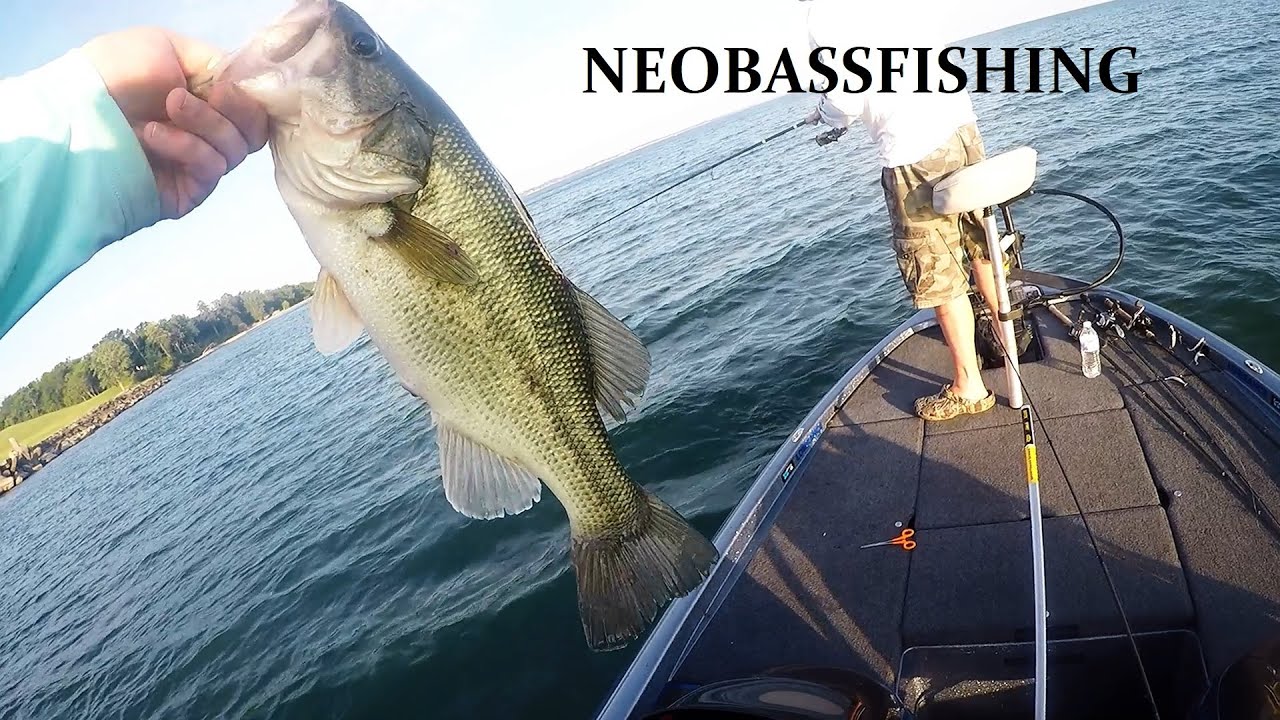 Big Bass on Lake Erie...!!!