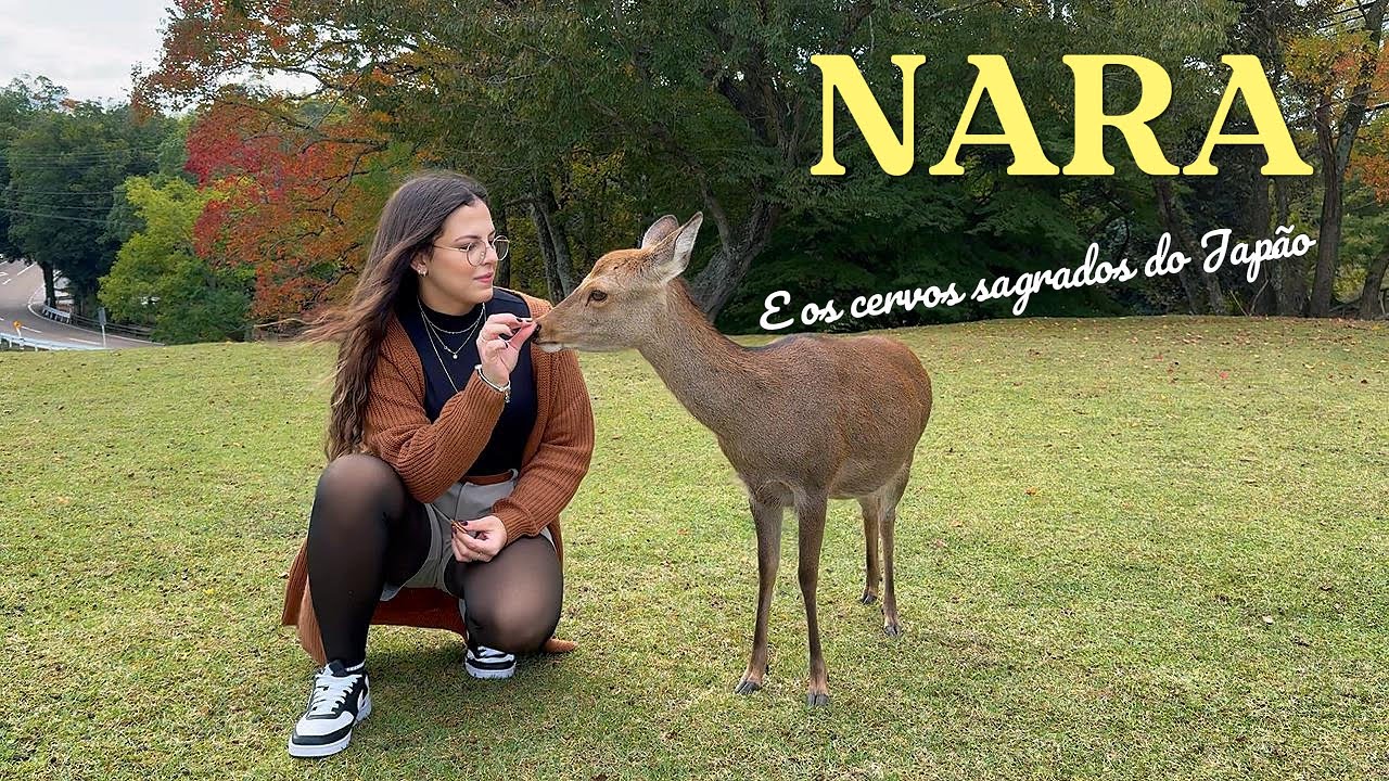 CERVOS SAGRADOS DO JAPÃO E O TEMPLO GIGANTE DE NARA!