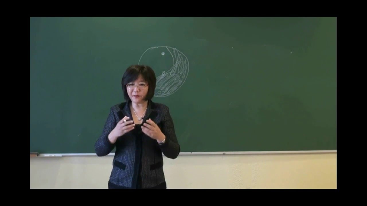 MTC y Acupuntura: Relaciones entre yin y yang