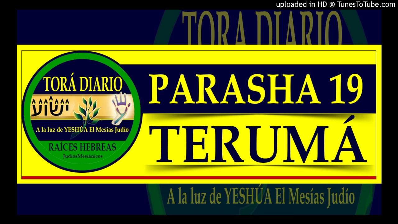 Parasha 19 Teruma, 7 aliya - El cuerpo es el atrio del templo humano