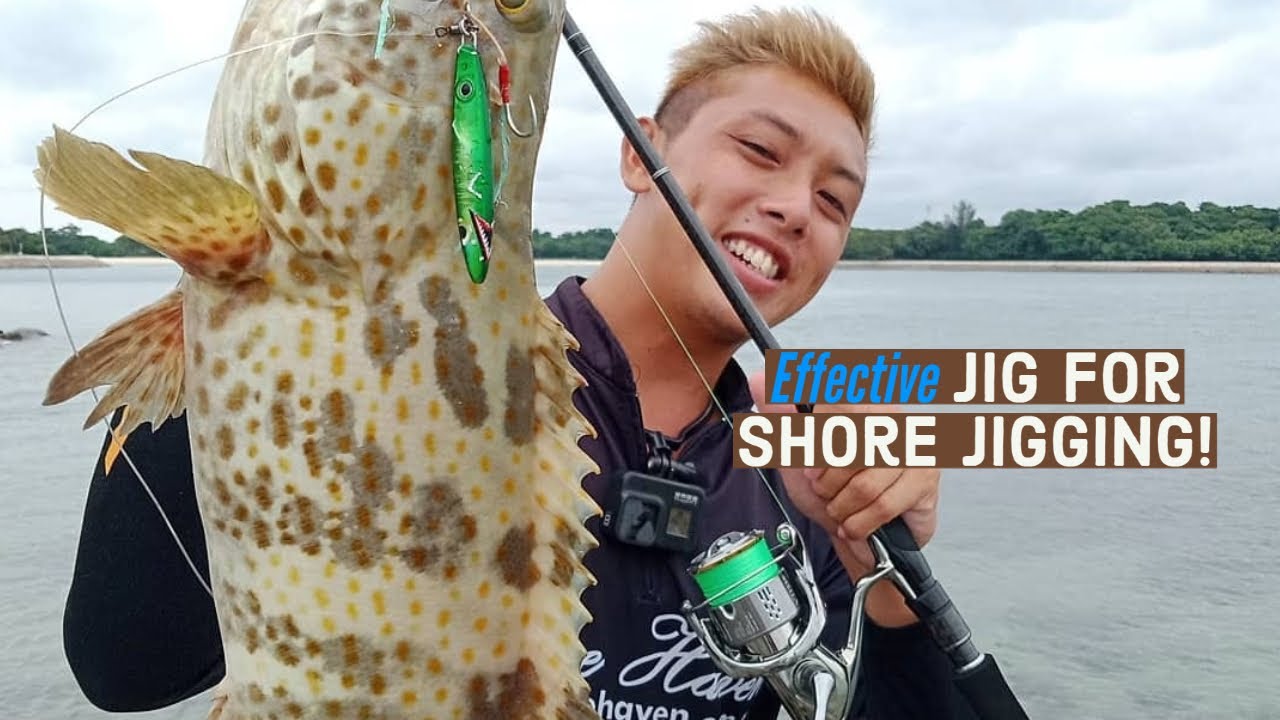 Shore Jigging episode 10; orange spotted grouper