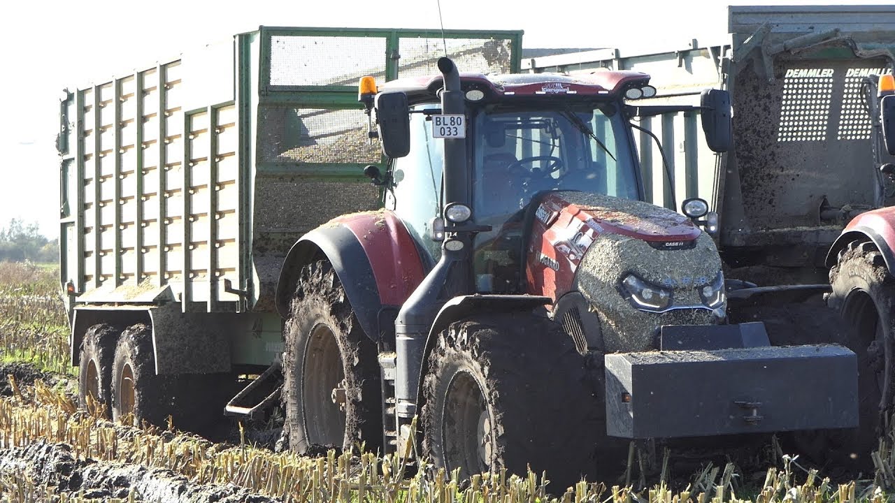 Case IH 300 Optum Gets STUCK in MUDDY WATERHOLE During Corn Chopping 2019 | Maisernte | DK Agri