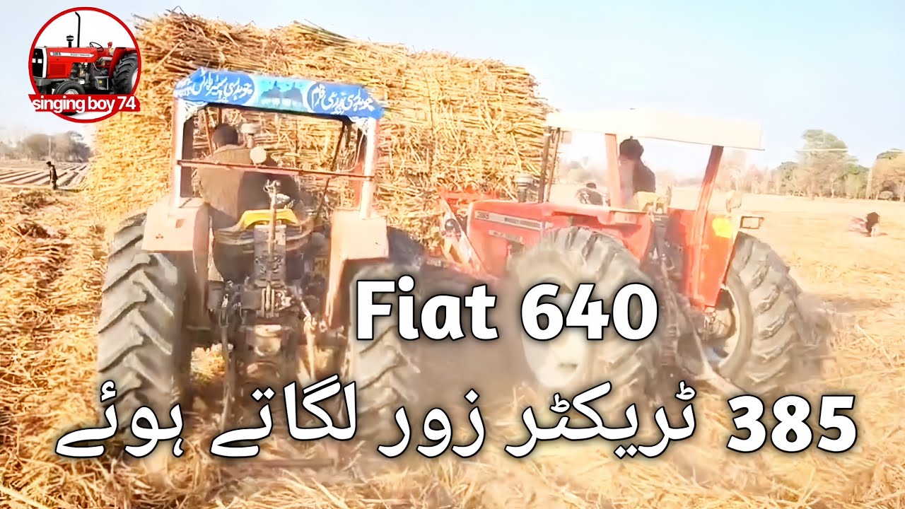 Fiat 640 vs Mf 385 pulling truly | Fiat 640 vs mf 385 working profomes
