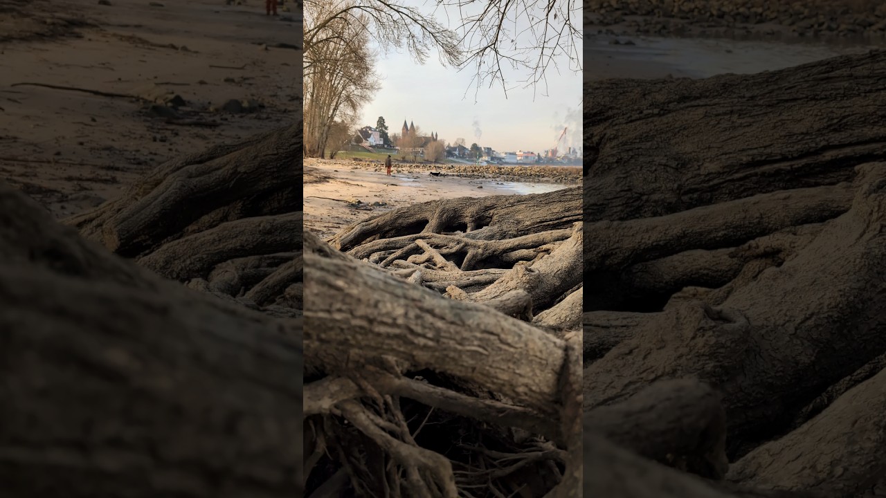 Spok&oacute;j nad wodą &ndash; Wesseling am Rhein