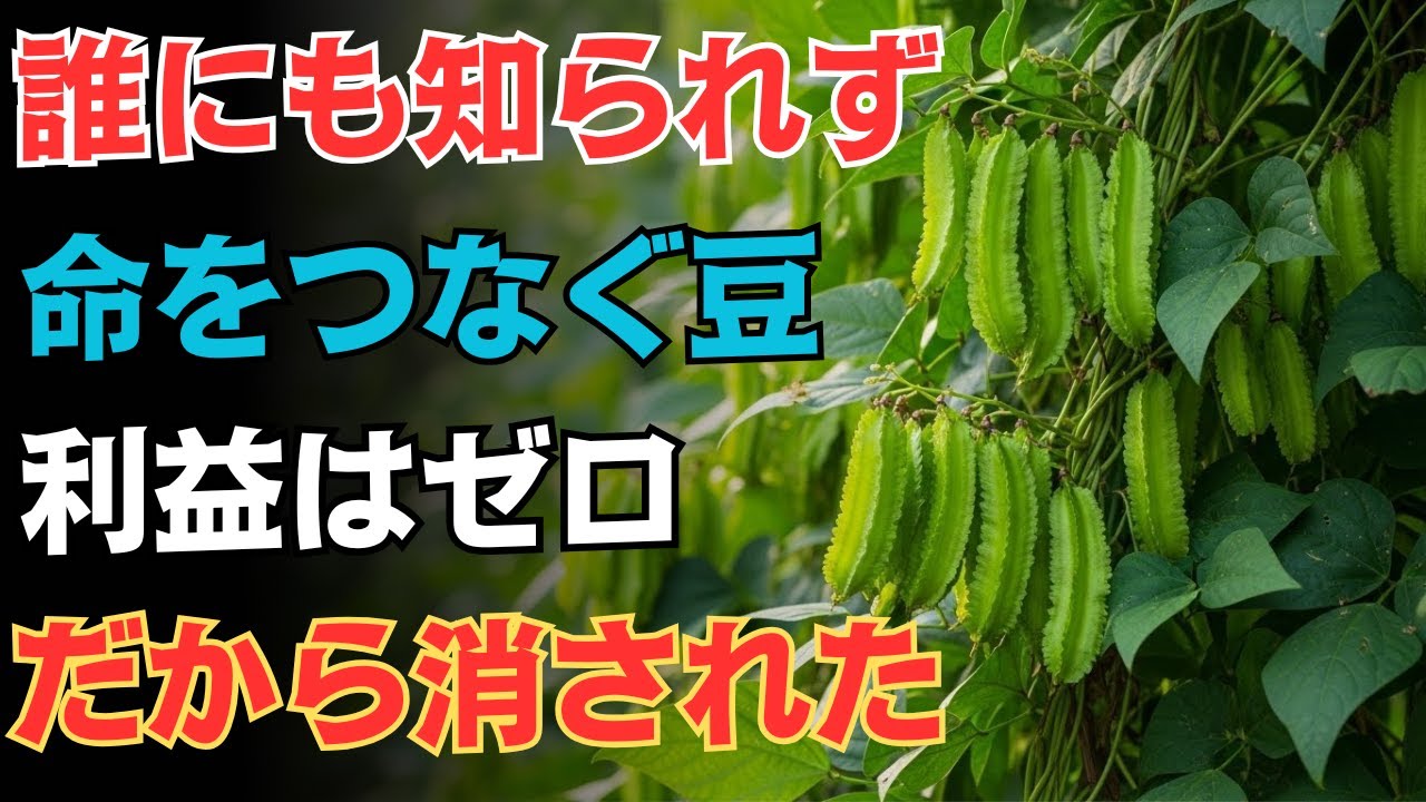９９％が知らない栄養力。大豆を超えた一種で五つの恵み。なぜ封印されたのか。土を育て、人を支え、化学に頼らぬ奇跡の植物
