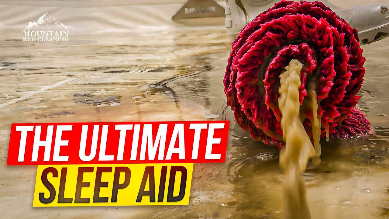 6-Hour ASMR Rug Cleaning Marathon: Relax and Sleep to Satisfying Deep Cleans