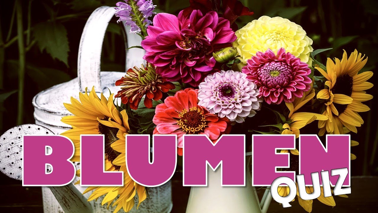 🌸 Kannst du alle Fragen über Blumen beantworten? | Blumen Quiz 🌻🌾