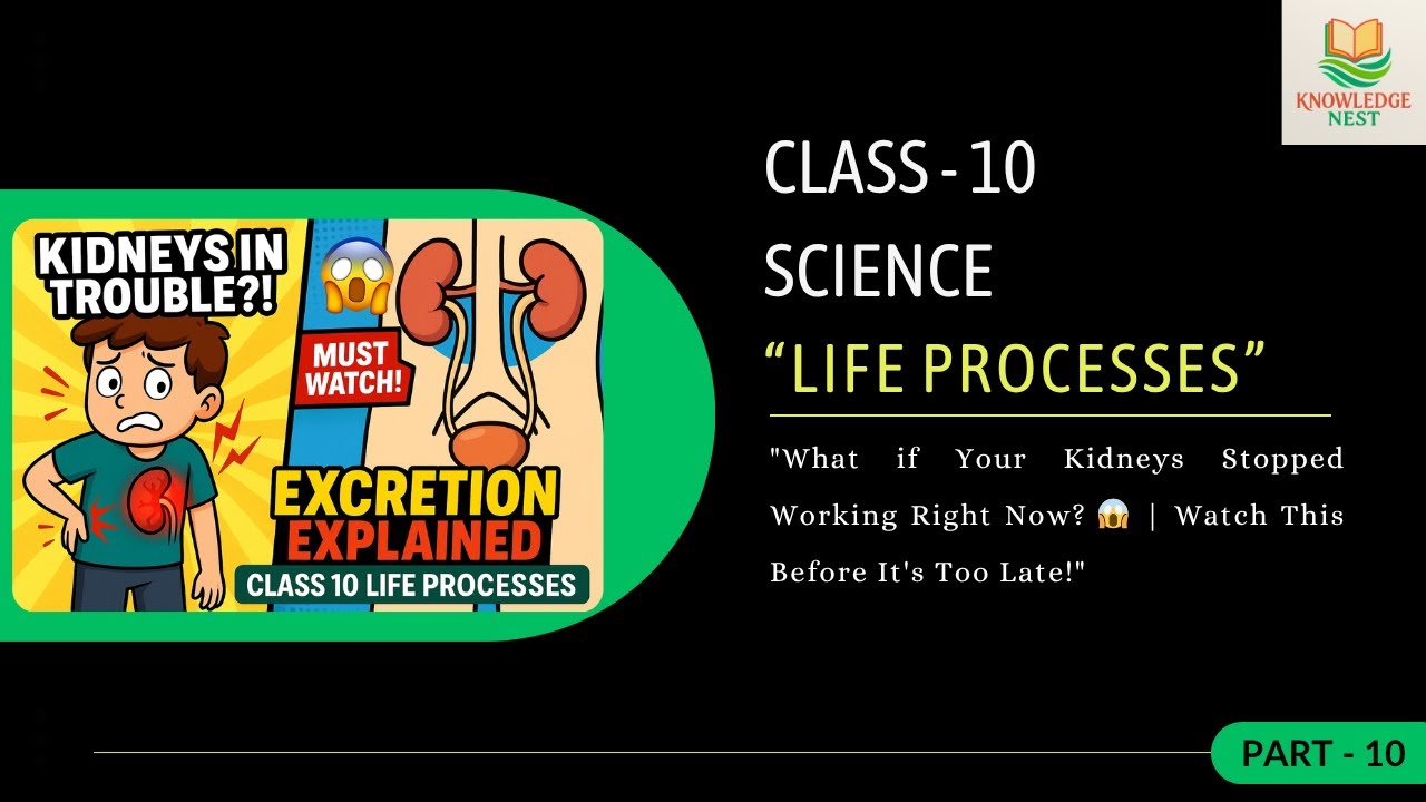 Excretion in Humans & Plants | Class 10 | Science | Life Processes | Must Watch!
