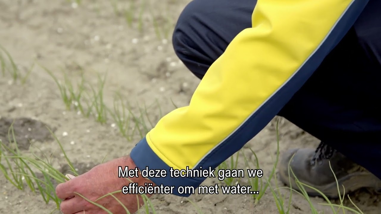 Fertigatie: de sleutel tot effici&euml;nte teelt met 15% hogere opbrengst